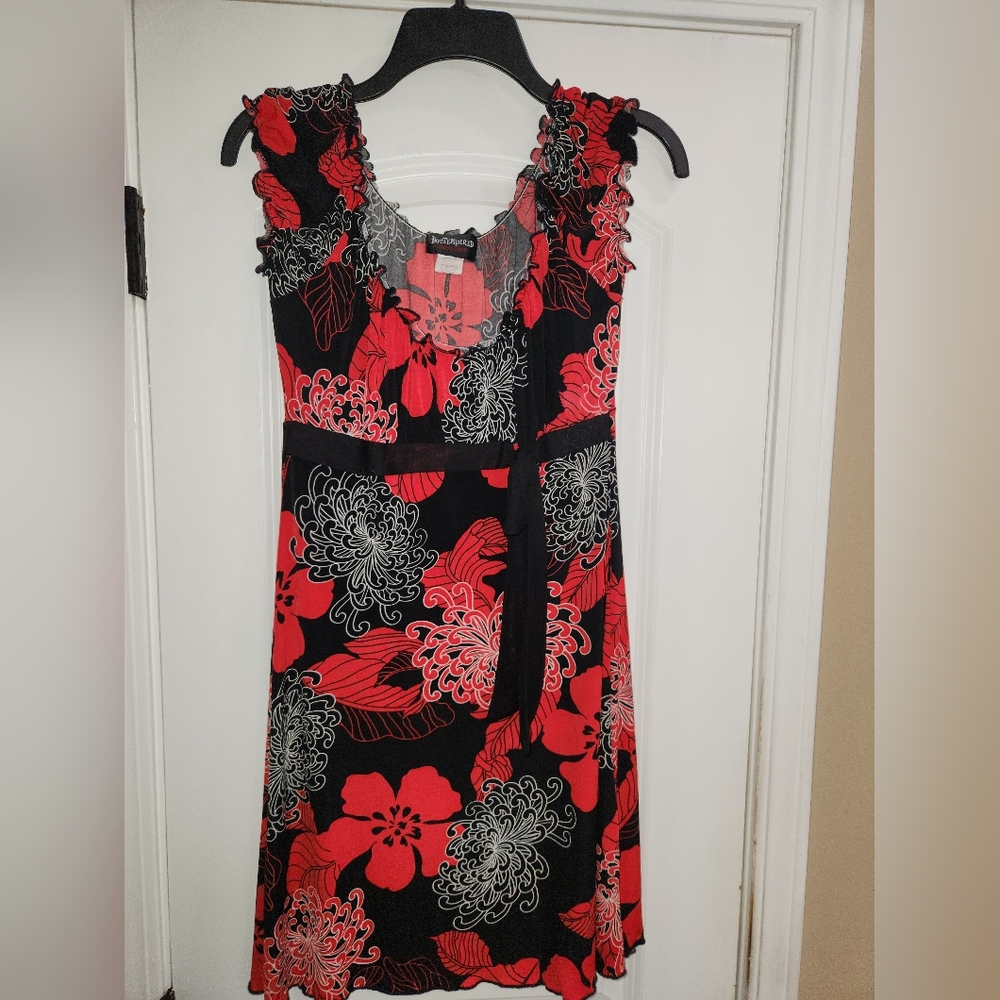 Red and Black V-Neck Sleeveless Mini Sundress